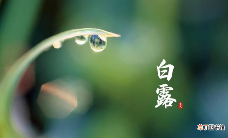 白露节气一般气温多少度