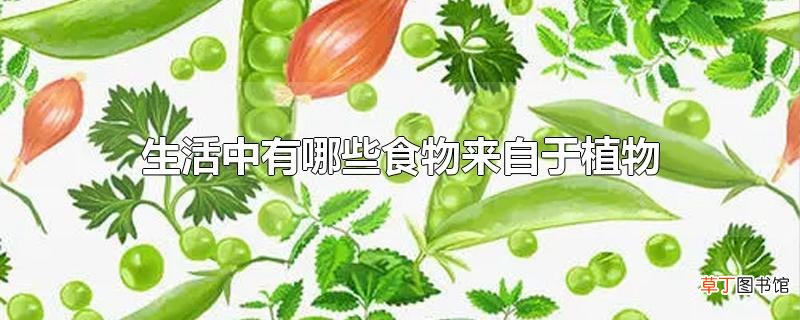 生活中有哪些食物来自于植物
