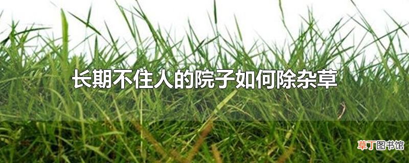 长期不住人的院子怎么除杂草