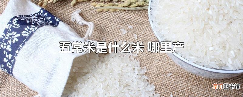 五常米是什么米 哪里产