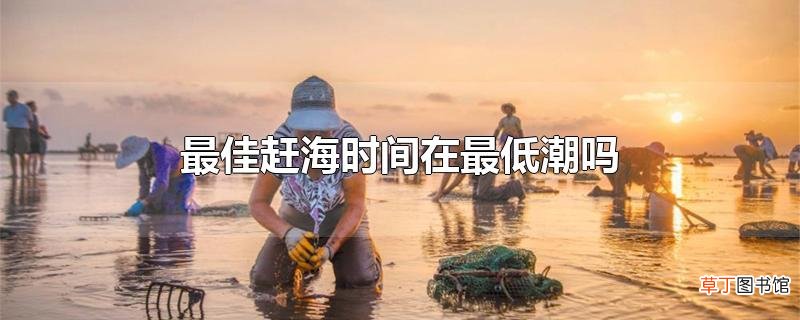 最佳赶海时间在最低潮吗