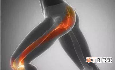 大腿根疼痛是怎么回事-大腿根疼痛是什么原因引起的