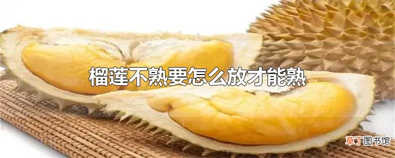 榴莲不熟要怎么放才能熟