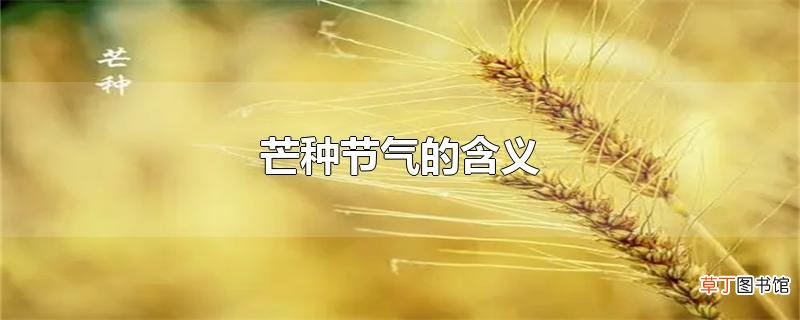 芒种节气的含义
