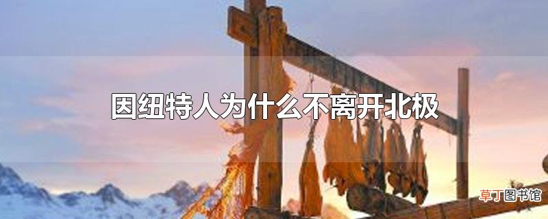 因纽特人为什么不离开北极