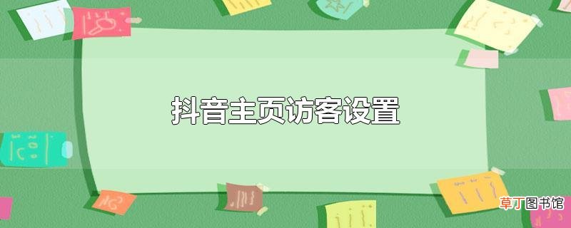 抖音主页访客设置