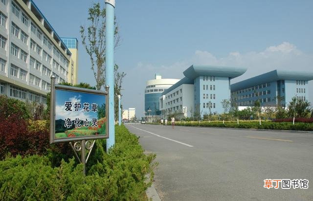 烟台职业学院单招专业有哪些