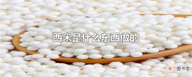 西米是什么东西做的