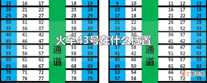 火车43号在什么位置