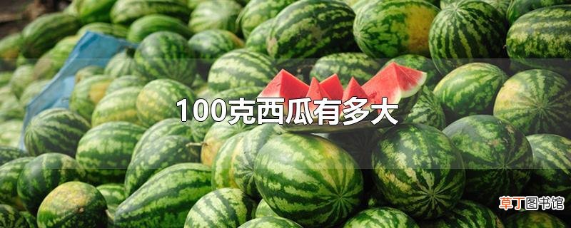 100克西瓜有多大