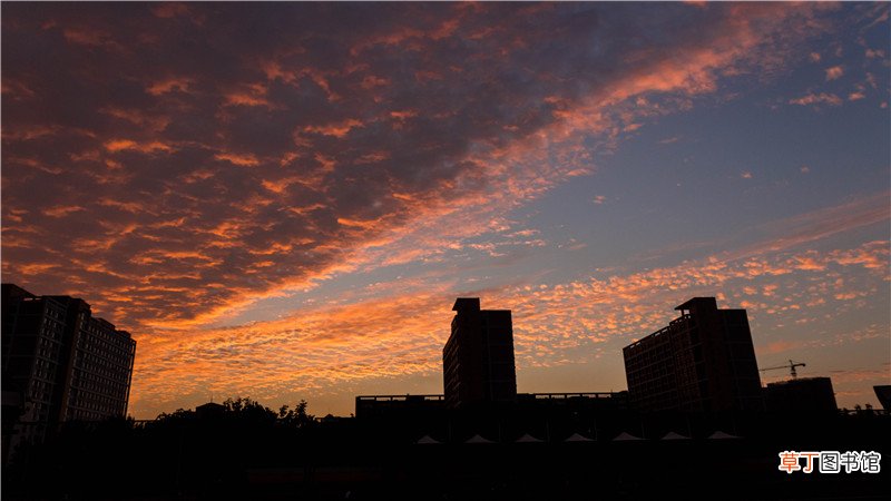 山东有哪些大学