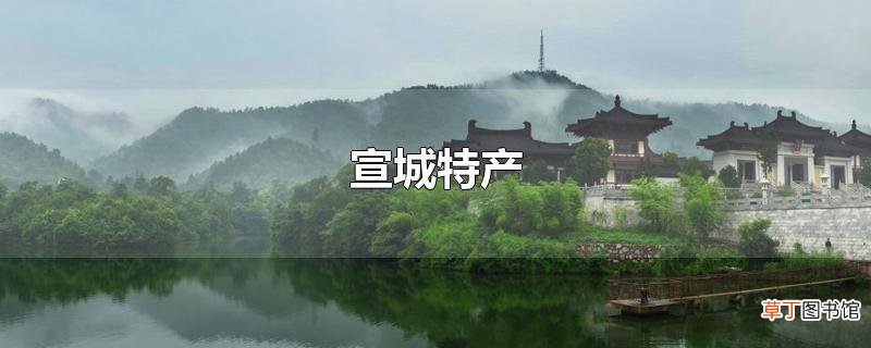 宣城特产