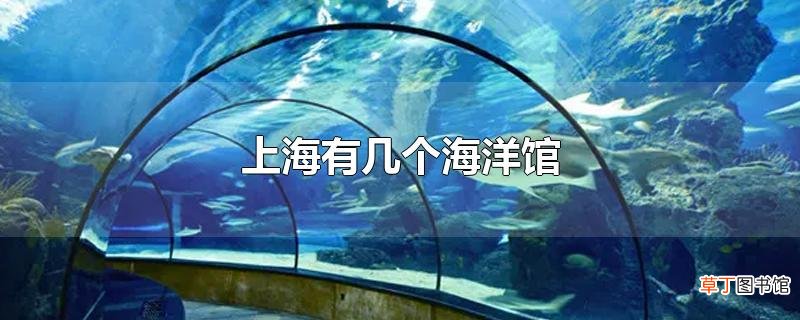 上海有几个海洋馆