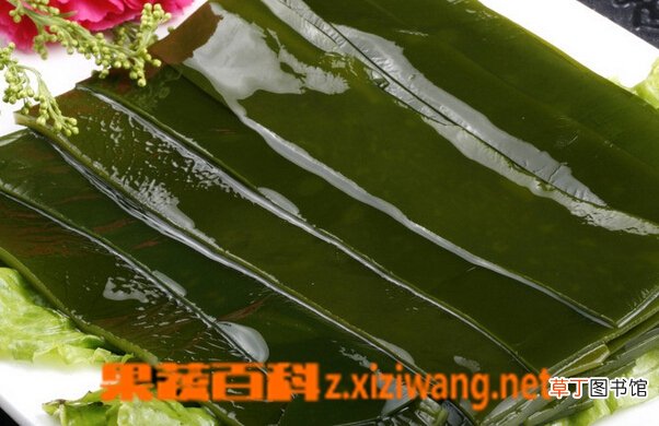 吃海带的功效和作用 海带的食用禁忌