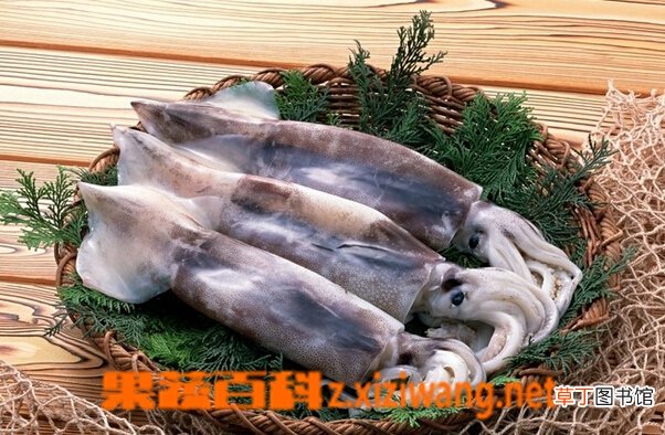 鱿鱼的营养价值与功效