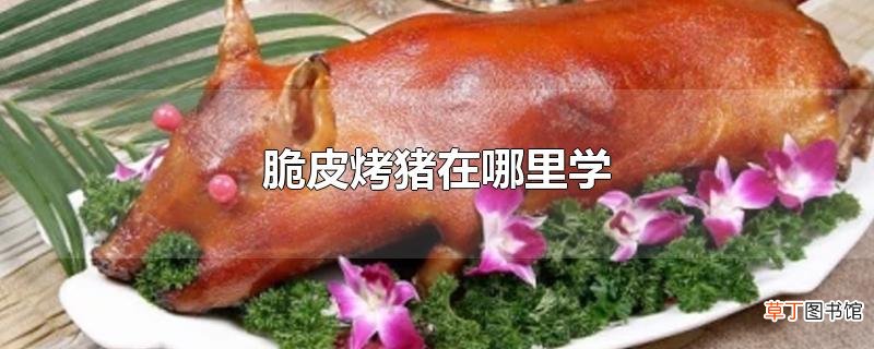 脆皮烤猪在哪里学