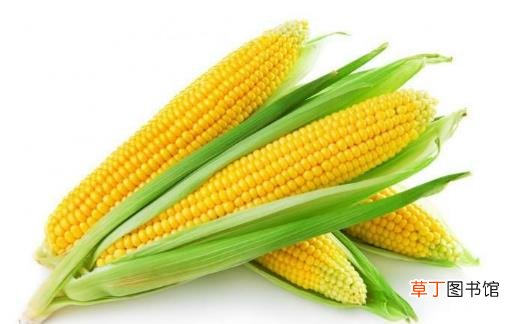 记忆力减退怎么办 五种食物助你增强记忆力