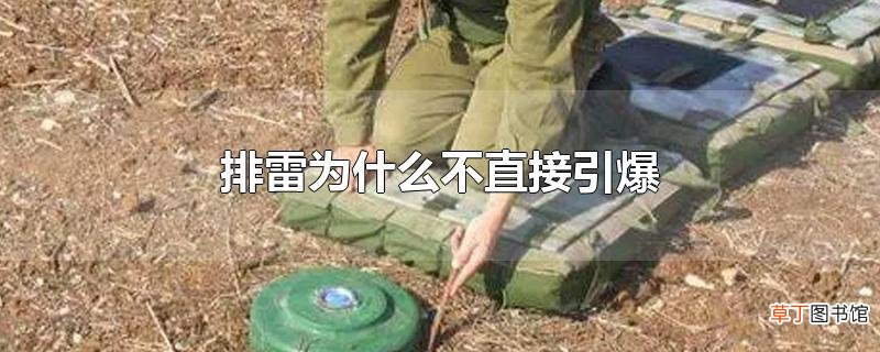 排雷为什么不直接引爆