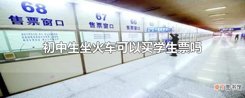 初中生坐火车可以买学生票吗