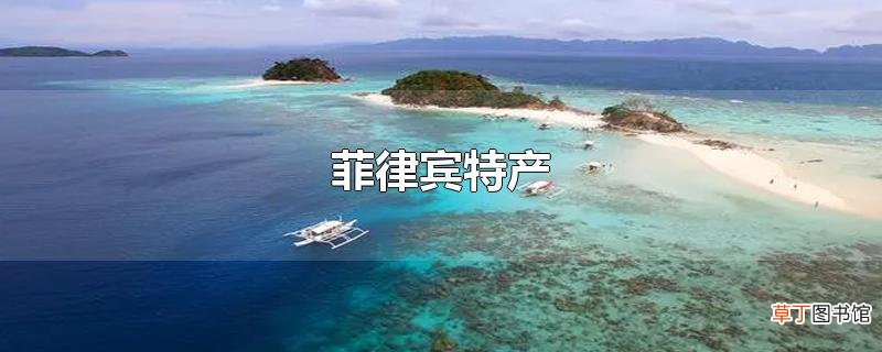 菲律宾特产
