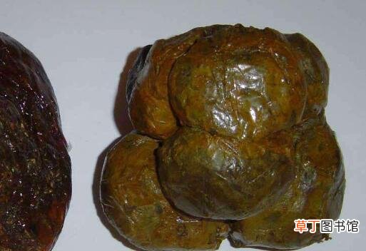 蜂胶4类人不能吃 看看吃蜂胶的禁忌有哪些
