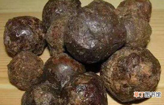蜂胶4类人不能吃 看看吃蜂胶的禁忌有哪些