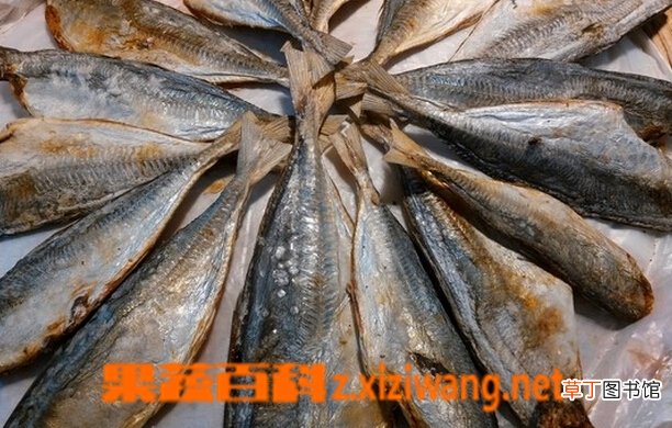 咸鱼怎么吃好 咸鱼的做法大全