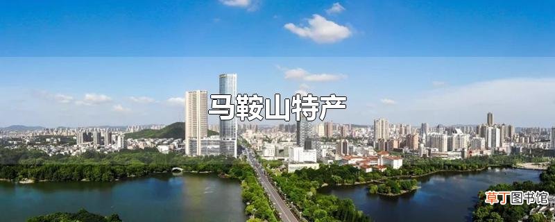 马鞍山特产