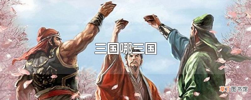 三国哪三国