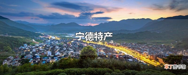宁德特产