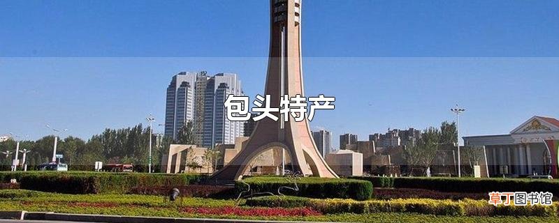 包头特产
