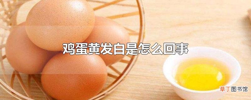 鸡蛋黄发白是怎么回事