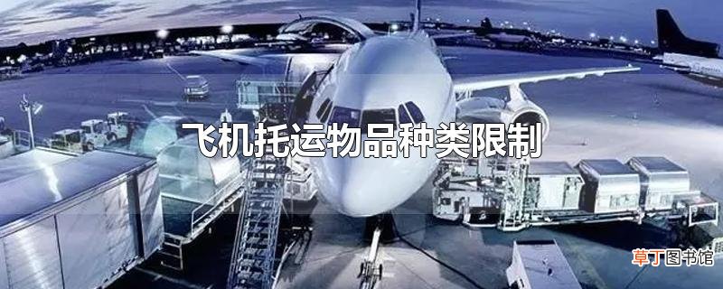 飞机托运物品种类限制