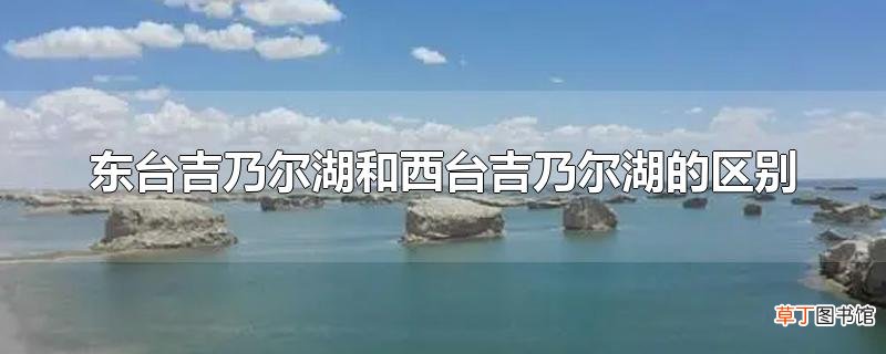 东台吉乃尔湖和西台吉乃尔湖的区别