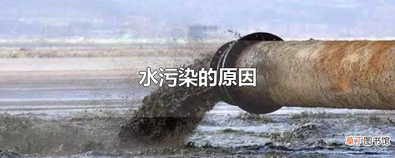 水污染的原因