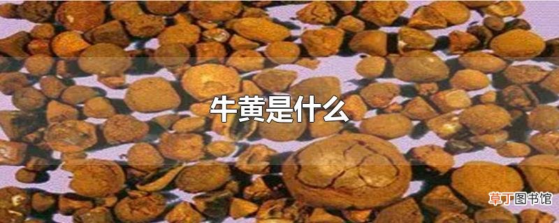 牛黄是什么