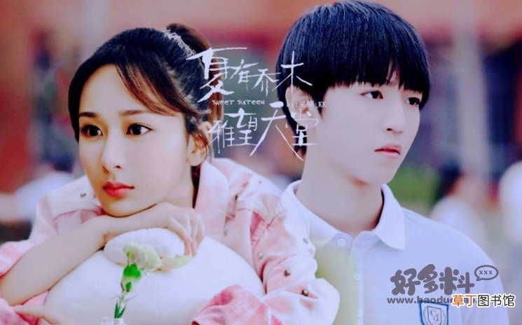两人因多次合作大家非常看好 王俊凯杨紫2021年有合作吗