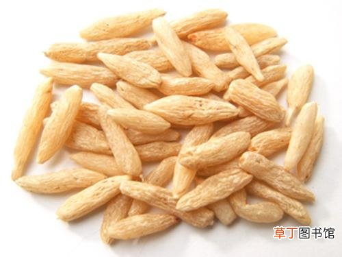 中药麦冬的功效与作用-中药麦冬有什么功效