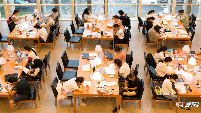 马兰戈尼本科重点课程有哪些