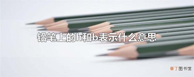 铅笔上的h和b表示什么意思