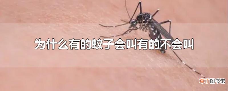 为什么有的蚊子会叫有的不会叫