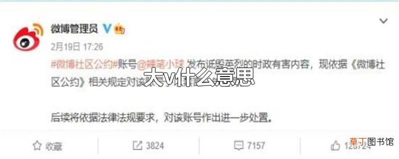 大v什么意思