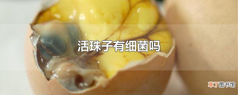 活珠子有细菌吗