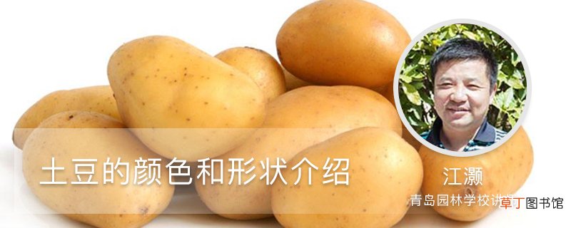 土豆的颜色和形状介绍