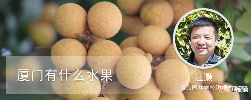 厦门有什么水果