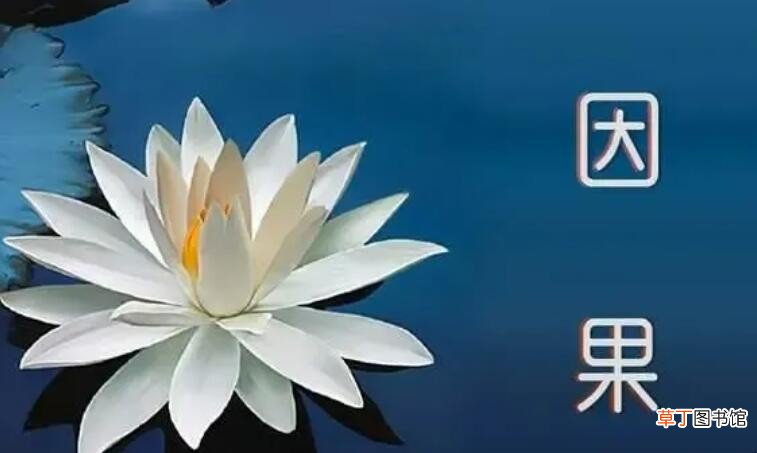 不昧因果和不落因果的区别是什么
