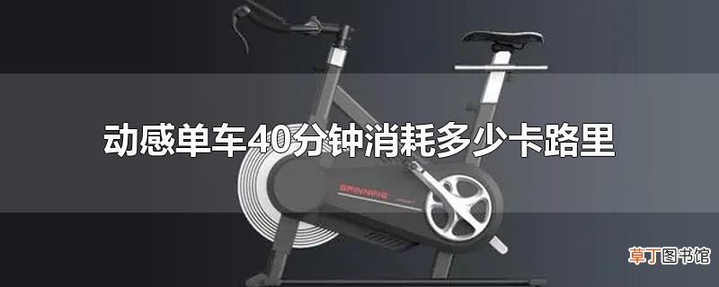 动感单车40分钟消耗多少卡路里