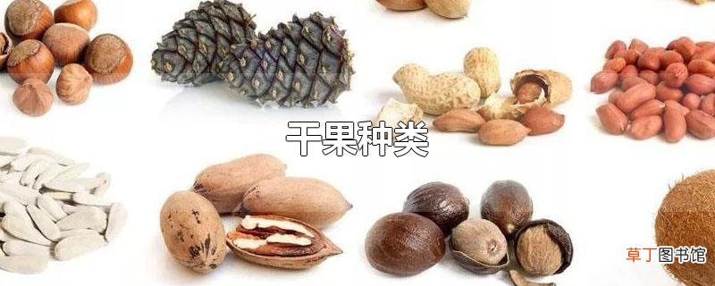 干果种类