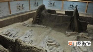 上古时期的恐怖殉葬制度，残忍到令人发指