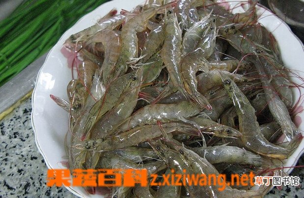 河虾的功效与作用 吃河虾的好处